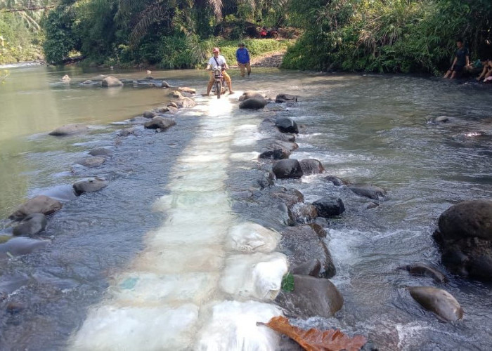 Jembatan Tak Kunjung Diperbaiki Pemerintah, Warga Desa Simpang Terpaksa Bangun Jalur Darurat
