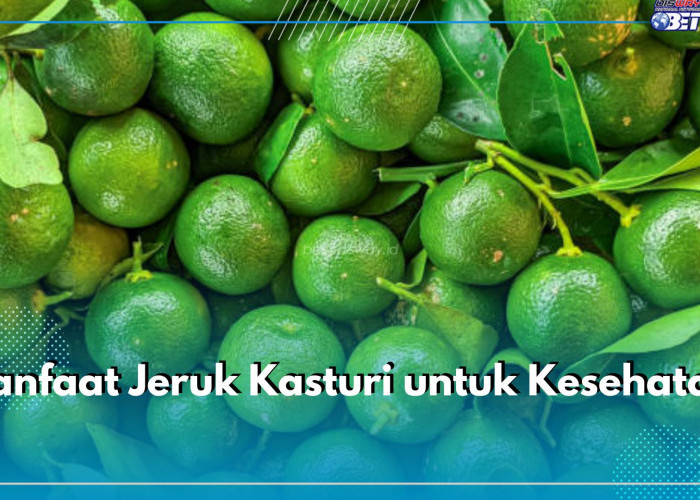 Dibalik Asamnya Jeruk Kasturi, Ini Sederet Manfaatnya untuk Kesehatan, Cari Tahu di Sini