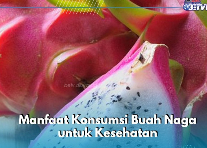 Pencernaan Kembali Membaik, Cukup Konsumsi Buah Naga Ini, Cek Manfaat di Sini!