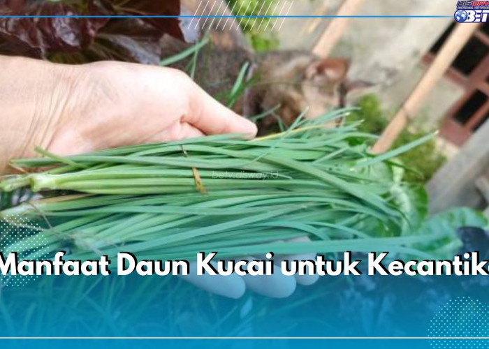 Alternatif Alami Perawatan Kulit, Inilah 5 Manfaat Daun Kucai untuk Kecantikan