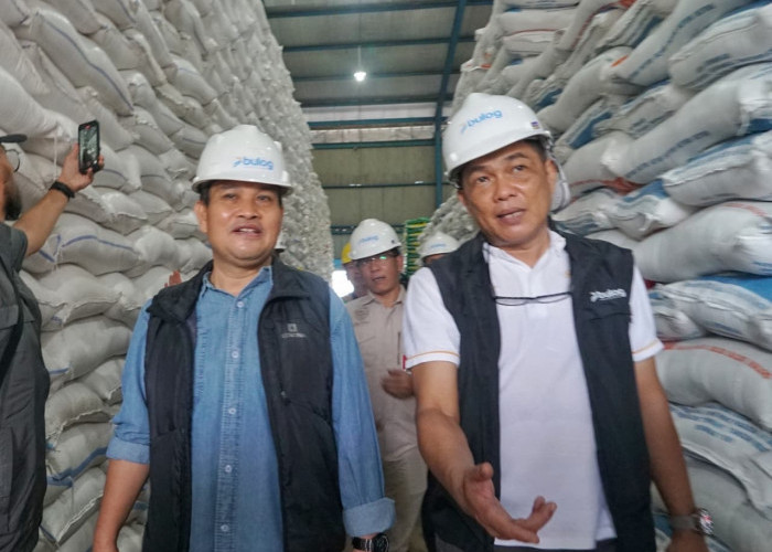 Stok Melimpah! Bulog Bengkulu Siapkan 5.500 Ton Beras dan Minyakita untuk Ramadan 2026