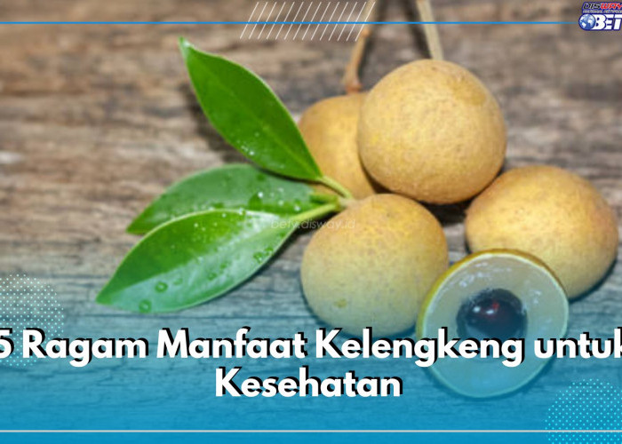 5 Ragam Manfaat Kelengkeng untuk Kesehatan, Cek Kandungan Nutrisinya Ampuh Atasi Penyakit Kronis