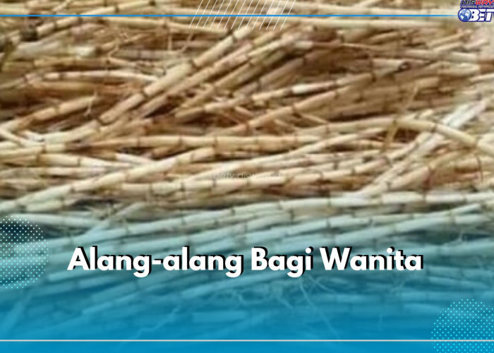 8 Manfaat Tersembunyi Akar Alang-alang Bagi Wanita, Kamu Wajib Tahu!