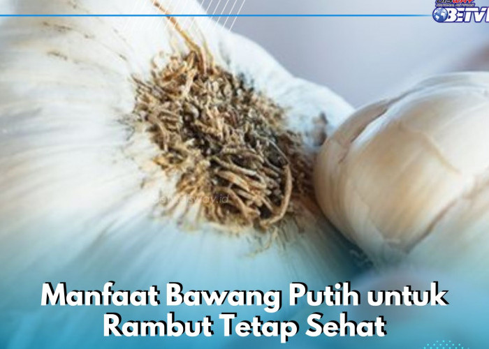 Manfaat Lain Bawang Putih untuk Rambut, Ampuh Menghilangkan Jamur di Kulit Kepala