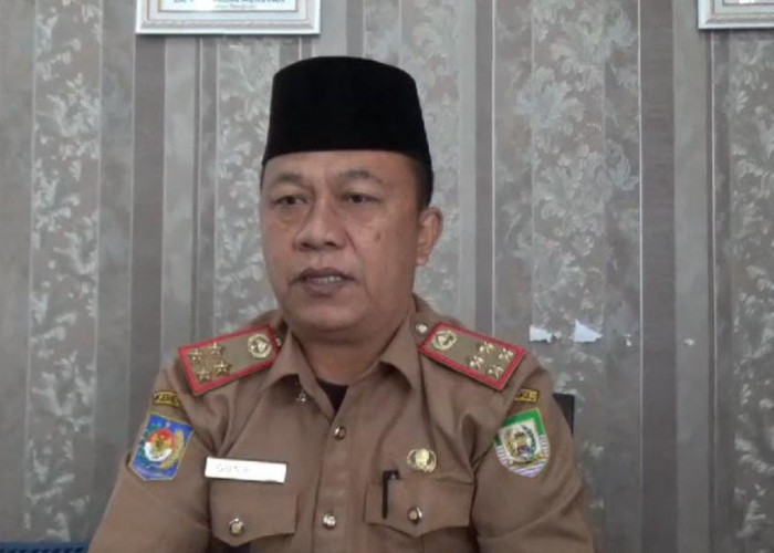 45 Pelamar CPNS Pemprov Bengkulu TMS dan Tak Bisa Daftar Kembali, Ikuti Saran BKD Agar Tak Bernasib Sama