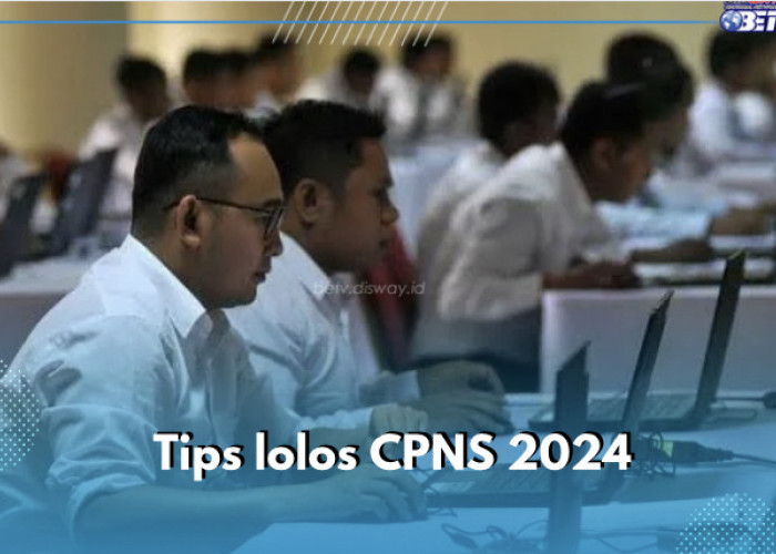 Ini 5 Tips Lolos CPNS 2024, Nomor 2 Wajib Dilakukan, Cek Sekarang