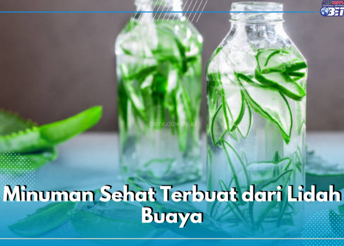 5 Daftar Minuman Sehat Terbuat dari Lidah Buaya, Dijamin Segar dan Bikin Nagih