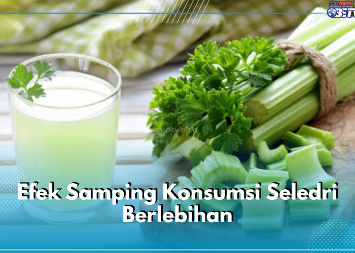 Hati-hati! Ini 4 Efek Samping Konsumsi Seledri Berlebihan, Bisa Sebabkan Masalah Hormon