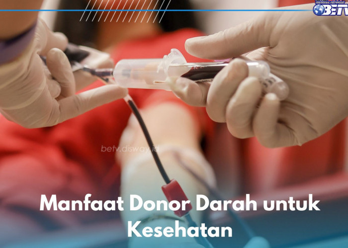 5 Manfaat Donor Darah untuk Kesehatan, Ampuh Meningkatkan Produksi Sel Darah Merah