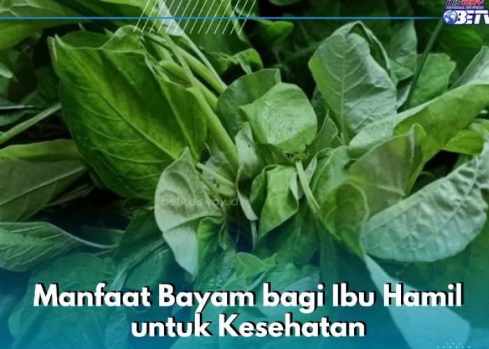 Ampuh Meningkatkan Kekebalan Tubuh, Ini Manfaat Lain Bayam yang Ditawarkan