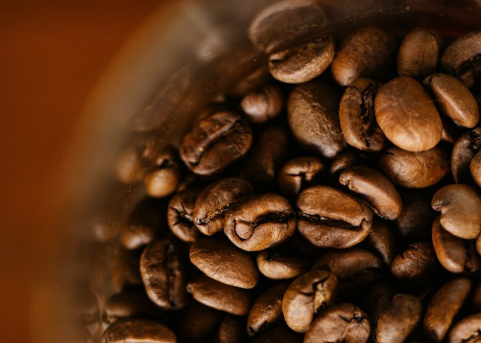 Ini Perbedaan Arabika dan Robusta, Mana yang Lebih Cocok untuk Kamu?