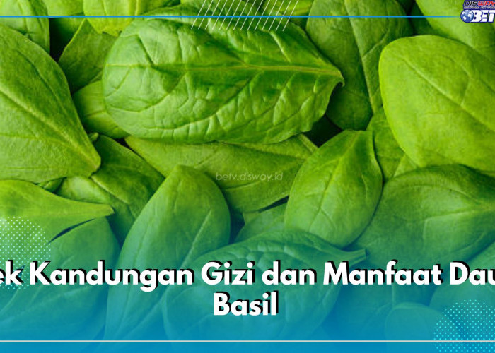 Cek Kandungan dan Manfaat Daun Basil untuk Kesehatan, Tawarkan Beragam Khasiat Tak Terduga Bagi Tubuh