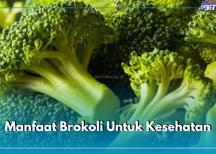 Brokoli Punya Segudang Manfaat Untuk Kesehatan, Efektif Hempaskan 5 Penyakit Ini dari Dalam Tubuh