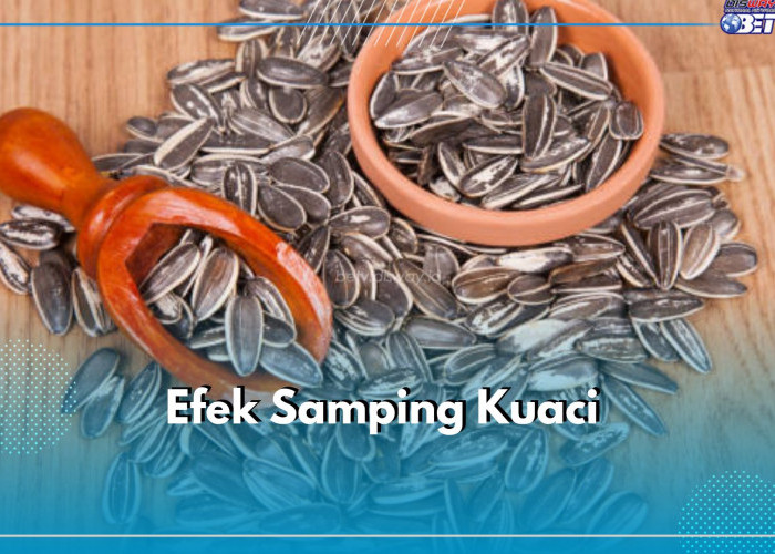 Mengonsumsi Kuaci Berlebihan Dapat Menimbulkan Efek Samping, Ini 5 Bahayanya untuk Tubuh