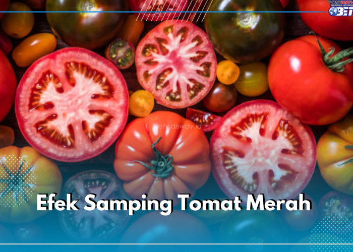 Tidak Baik Dikonsumsi Berlebih, Ini Sederet Dampak Buruk Tomat Merah untuk Kesehatan yang Perlu Kamu Tau