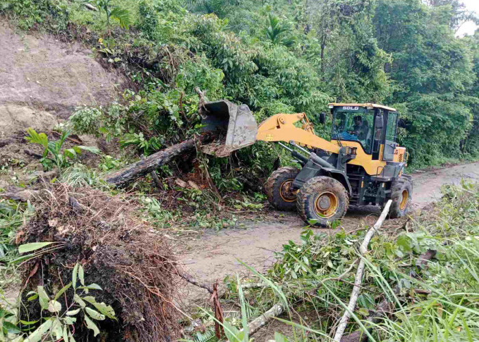 Akses Jalan Nasional di Kaur Sempat Tertutup Akibat Longsor dan Pohon Tumbang