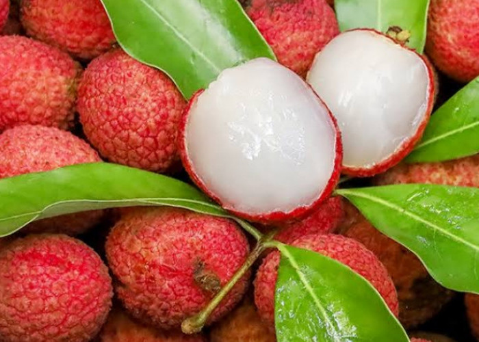 Kaya Kandungan Vitamin, Cek Disini Manfaat Buah Leci untuk Dunia Kecantikan 
