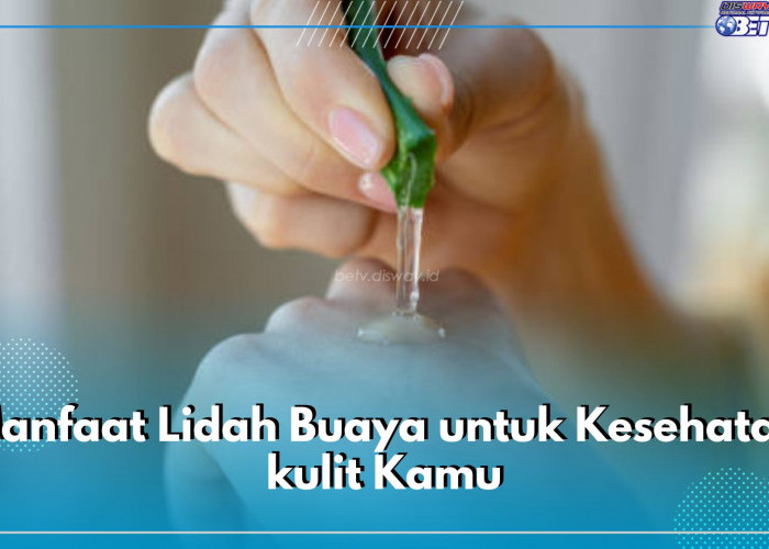 Cek di Sini 7 Manfaat Lidah Buaya untuk Kesehatan Kulit Kamu, Dari Mencerahkan Hingga Melembabkan