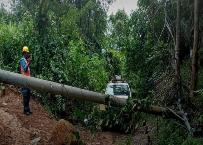 6 Tiang Listrik di Seluma Roboh Akibat Cuaca Ekstrem, PLN Lakukan Pemadaman