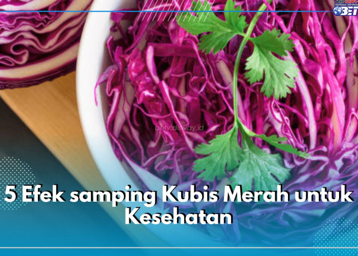 Hati-hati Terhadap 5 Efek samping Kubis Merah untuk Kesehatan, Begini Tips Mengurangi Dampaknya