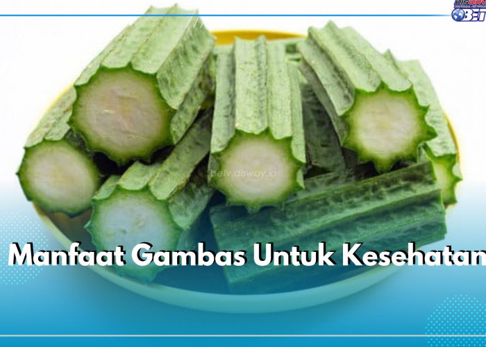 Tak Hanya Mencegah Diabetes, Ini Manfaat Lain Gambas untuk Kesehatan, Cek di Sini!