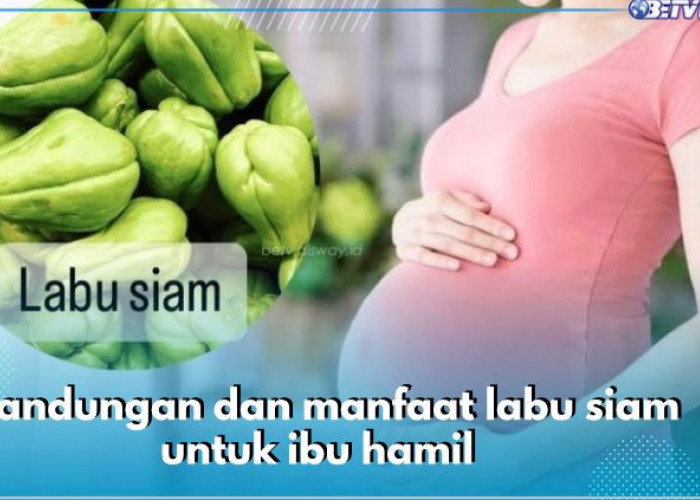 6 Manfaat Labu Siam untuk Ibu Hamil, Lindungi Janin hingga Lancarkan Pencernaan, Cek Kandungannya