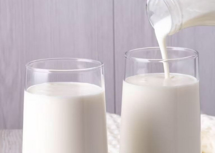 Makin Sehat, 7 Rekomendasi Minuman yang Cocok Dikonsumsi di Pagi Hari