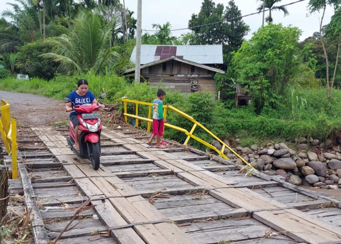 Jembatan Rusak Dihantam Banjir, Kades Surau Minta Perbaikan 