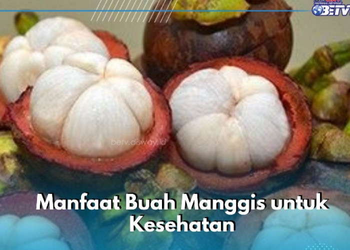 Cek Manfaat Buah Manggis di Sini, Salah Satunya Dapat Meningkatkan Daya Tahan Tubuh
