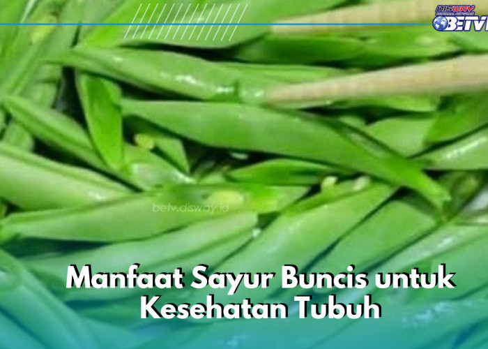 Cek di Sini Manfaat Lain Sayur Buncis Sehari-hari, Dapat Mengatasi Anemia, Cukup Konsumsi Rutin