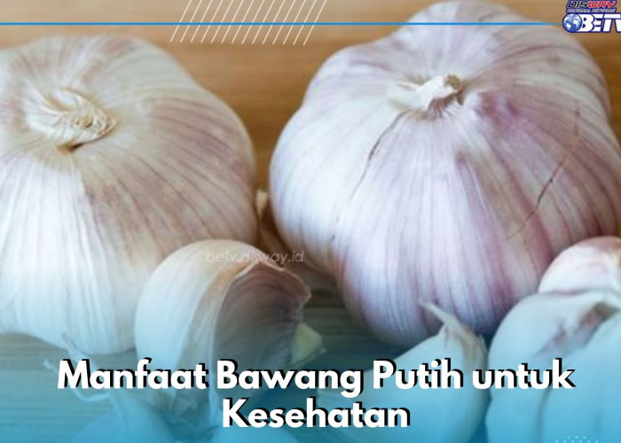 Cek Manfaat di Sini! Bawang Putih Dapat Menurunkan Tekanan Darah, Baik bagi Kesehatan