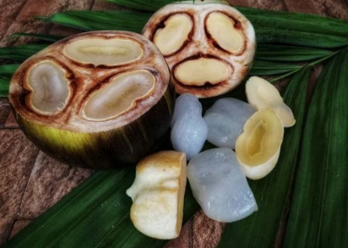 Inilah Manfaat Rutin Konsumsi Buah Lontar, Salah Satunya Ampuh Atasi Diabetes 