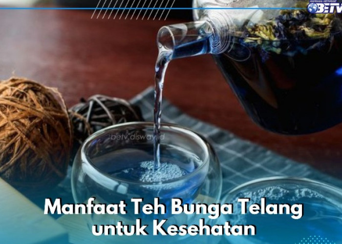 Minuman Teh Bunga Telang Ini Punya Manfaat bagi Kesehatan, Dipercaya Dapat Menjaga Pencernaan