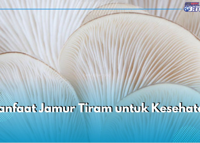 6 Manfaat Jamur Tiram untuk Kesehatan, Bisa Dukung Kesehatan Tulang