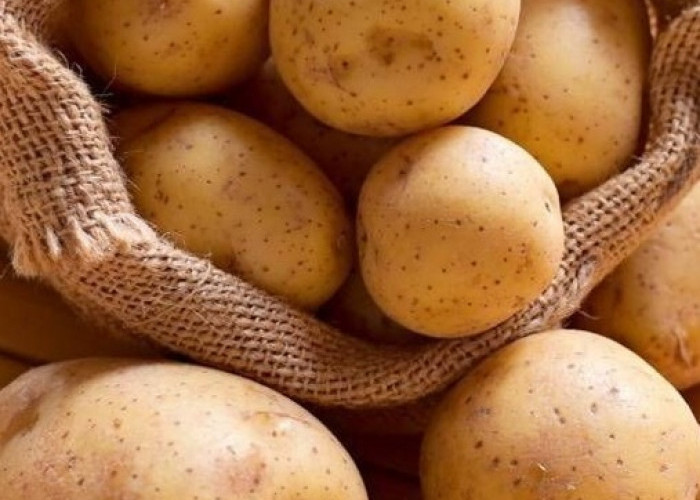 Ini Makanan yang Punya Kandungan Karbohidrat, Sumber Energi yang Baik untuk Tubuh