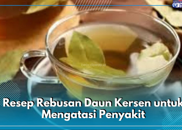 Atasi Diabetes hingga Batuk, Ini 5 Resep Rebusan Daun Kersen untuk Atasi Beragam Penyakit, Cek Segera!