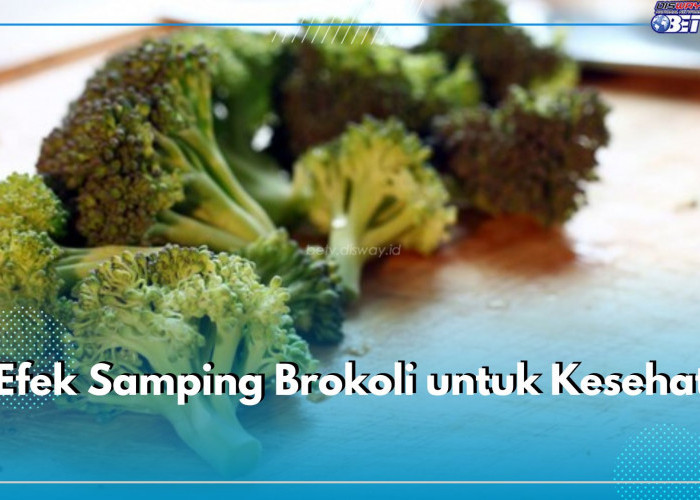 Berkhasiat Tapi Menimbulkan Bahaya Jika Dikonsumsi Berlebih, Ini 5 Efek Samping Brokoli untuk Kesehatan