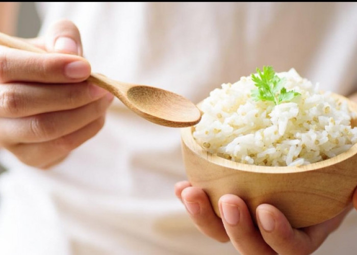 Cek Disini! Daftar Makanan yang Tinggi Kandungan Karbohidrat, Utamanya Nasi