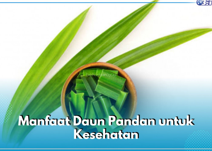 5 Manfaat Daun Pandan untuk Kesehatan, Salah Satunya Ampuh Turunkan Gula Darah