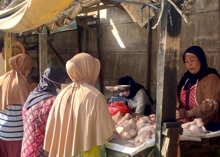 Jelang Nataru, Harga Ayam Potong dan Telur di Seluma Melonjak Naik