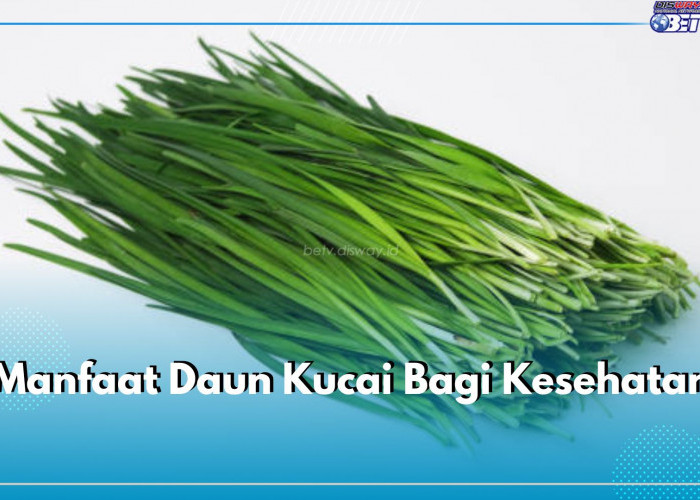 Belum Banyak Diketahui, Inilah 7 Manfaat Daun Kucai untuk Kesehatan Tubuh, Mulai dari Mata hingga Kulit