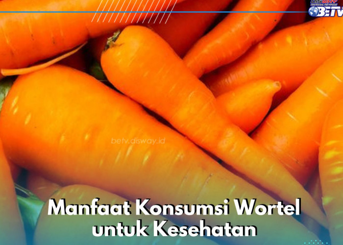 Manfaat Konsumsi Wortel Sehari-hari, Dipercaya Dapat Mencegah Kram Menstruasi