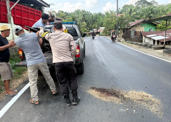 Putar Arah Mendadak, Motor Kebun Dihantam Beat Street di Seluma, Penumpang Tewas