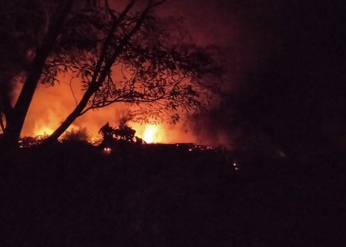 Api Berkobar Hebat di Lahan Sawit Jalinbar Seluma, Penyebab Kebakaran Belum Diketahui