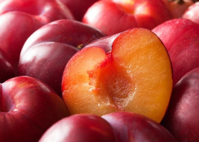 Buah Plum Tawarkan Manfaat Terbaik untuk Kesehatan Wanita, Salah Satunya Bantu Jaga Berat Badan 