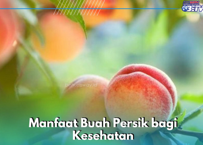 Buah Persik Bisa Mengatasi Peradangan, Simak Manfaatnya di Sini