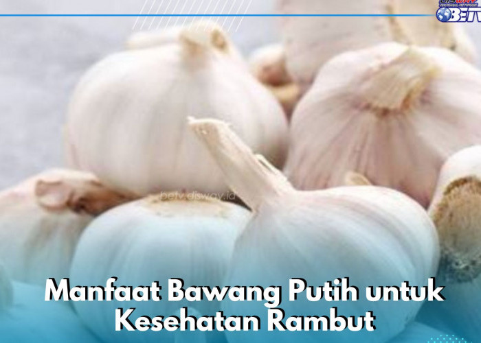 Bawang Putih Baik untuk Kesehatan Rambut, Cek Manfaatnya di Sini! Bisa Mengatasi Kerontokan
