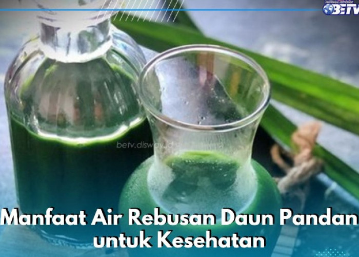 8 Manfaat Air Rebusan Daun Pandan yang Jarang Diketahui, Ampuh Mengatasi Kram Perut