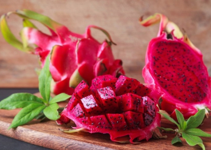 Taukah Kamu? Ada Ragam Fakta Unik yang Tersimpan dalam Buah Naga, Cek!