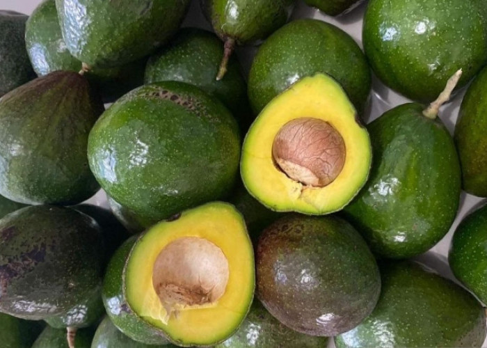 Bikin Kenyang Lebih Lama, Ini Dia Manfaat Konsumsi Buah Alpukat untuk Kesehatan Tubuh 